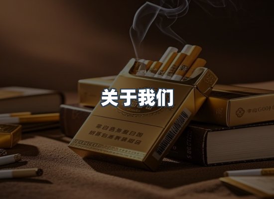 关于我们